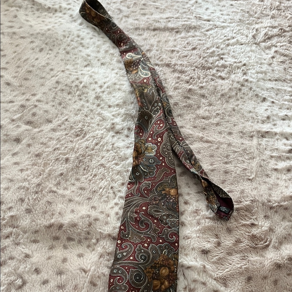 Elegant Paisley Silk Tie in Red and Brown